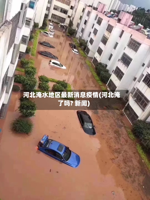 河北淹水地区最新消息疫情(河北淹了吗? 新闻)-第2张图片