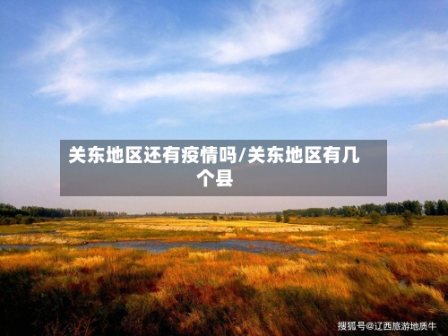 关东地区还有疫情吗/关东地区有几个县-第2张图片