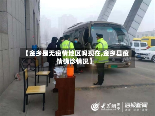 【金乡是无疫情地区吗现在,金乡县疫情确诊情况】-第3张图片