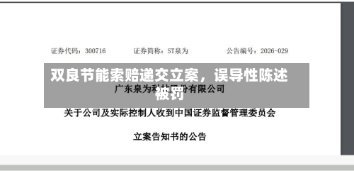 双良节能索赔递交立案，误导性陈述被罚