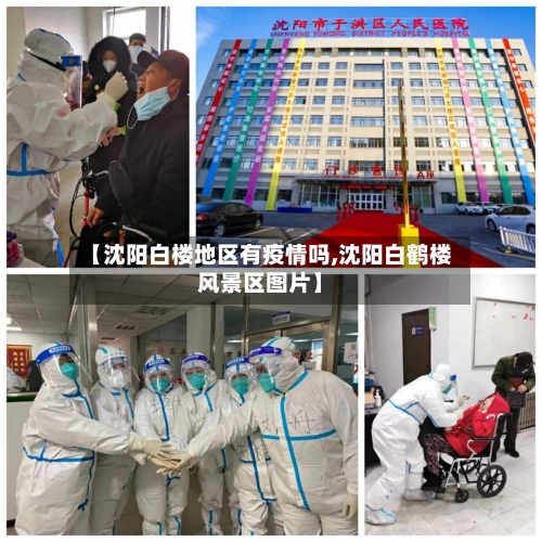 【沈阳白楼地区有疫情吗,沈阳白鹤楼风景区图片】