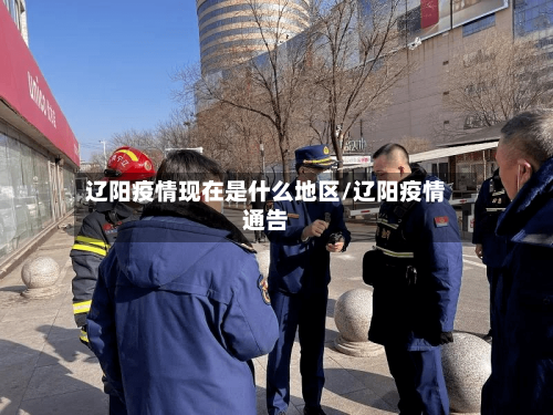 辽阳疫情现在是什么地区/辽阳疫情通告-第3张图片