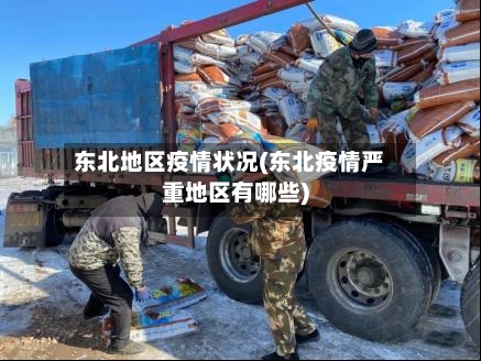 东北地区疫情状况(东北疫情严重地区有哪些)-第2张图片