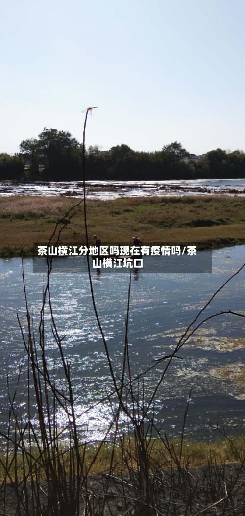 茶山横江分地区吗现在有疫情吗/茶山横江坑口-第2张图片