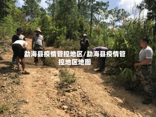 勐海县疫情管控地区/勐海县疫情管控地区地图