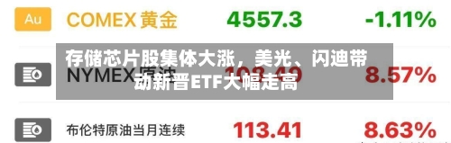 存储芯片股集体大涨	，美光、闪迪带动新晋ETF大幅走高-第3张图片