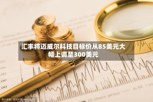 汇丰将迈威尔科技目标价从85美元大幅上调至300美元-第2张图片