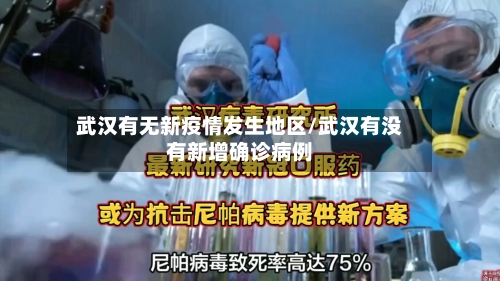 武汉有无新疫情发生地区/武汉有没有新增确诊病例